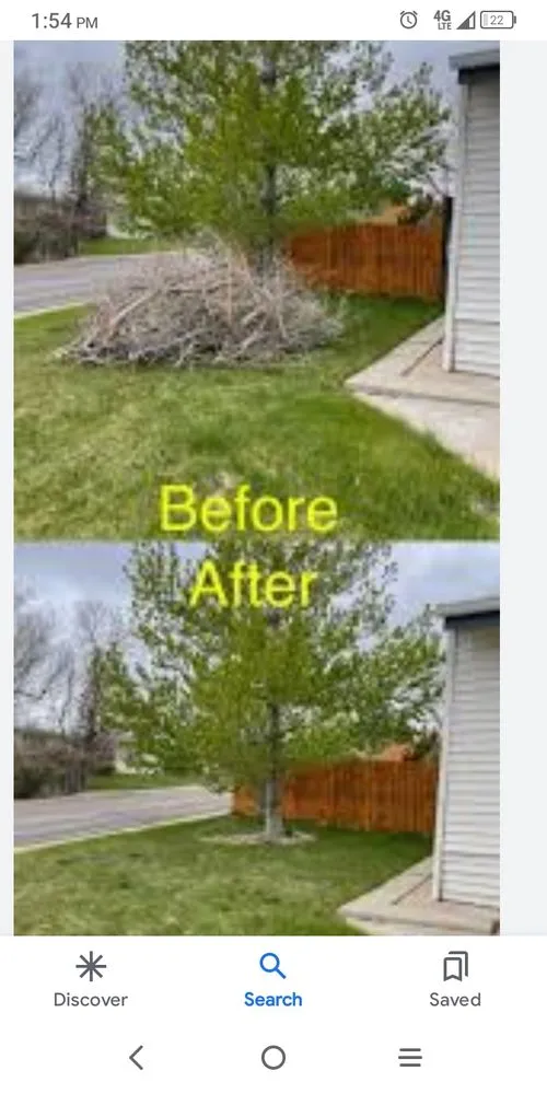 Affordable landscape installation for beautiful yards across Ormond Beach, FL - Paradise Tree and Landscaping