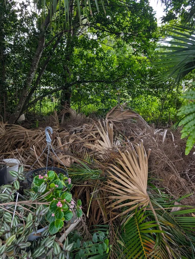 Expert landscape design for outdoor upgrades in Ormond Beach, FL by Paradise Tree and Landscaping