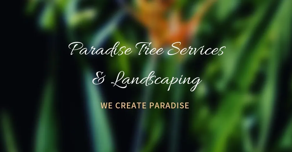 Affordable yard cleanup service in Miami, FL by Paradise Tree Services and Landscaping