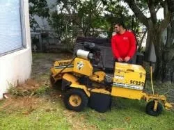 Custom landscape installation experts serving Miami, FL - Paradise Tree Services and Landscaping