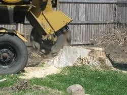 Reliable yard maintenance in Miami, FL - Paradise Tree Services and Landscaping