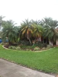 Custom yard maintenance in Miami, FL - Paradise Tree Services and Landscaping