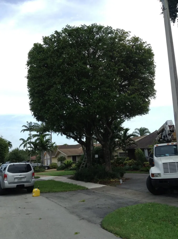 Professional outdoor landscaping experts serving Miami, FL - Paradise Tree Services and Landscaping