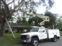 Local landscape installation in Miami, FL by Paradise Tree Services and Landscaping