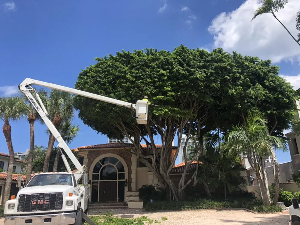 Affordable landscape installation in Miami, FL - Paradise Tree Services and Landscaping