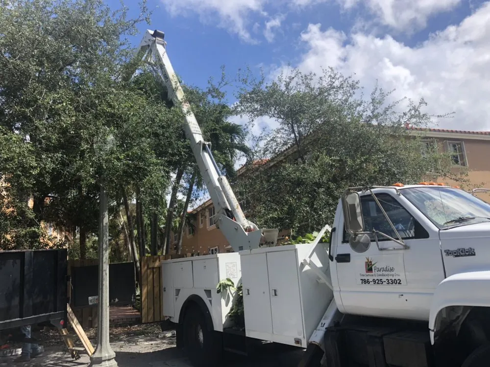 Professional landscape design for residential properties in Miami, FL by Paradise Tree Services and Landscaping