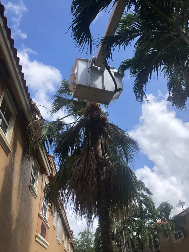 Top-rated outdoor landscaping with custom design in Miami, FL by Paradise Tree Services and Landscaping