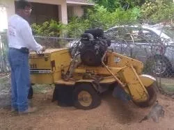 Local lawn care service experts serving Miami, FL - Paradise Tree Services and Landscaping