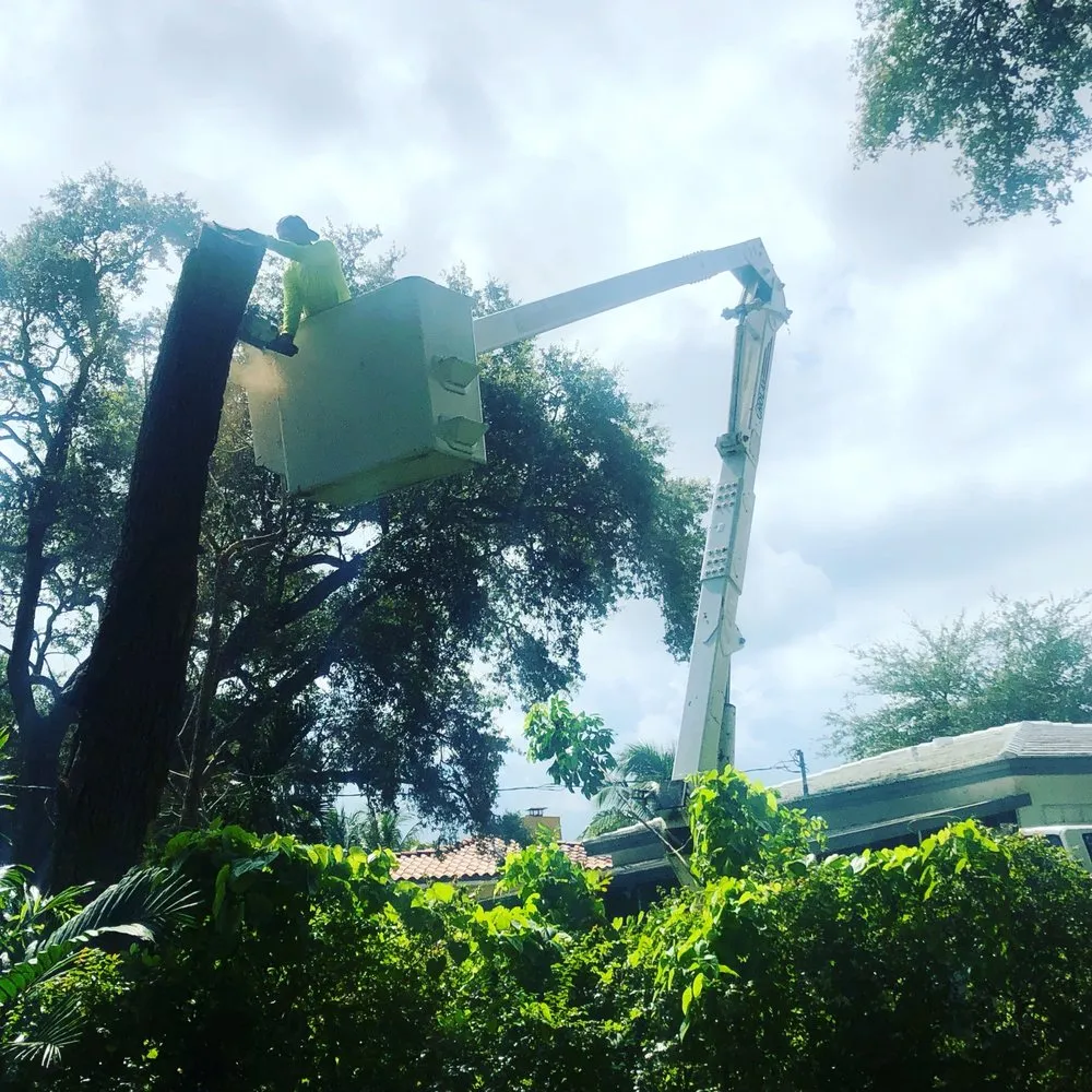 Professional yard cleanup service in Miami, FL by Paradise Tree Services and Landscaping