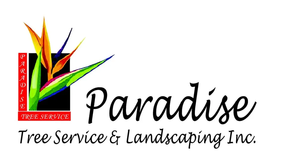 Affordable lawn mowing service in Miami, FL by Paradise Tree Services and Landscaping