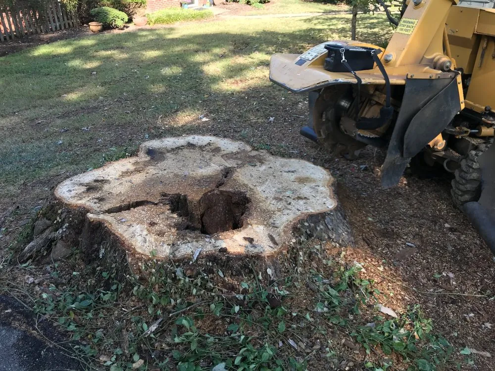 Trusted yard maintenance for beautiful yards in Strawberry Plains, TN by Paradise Tree Services