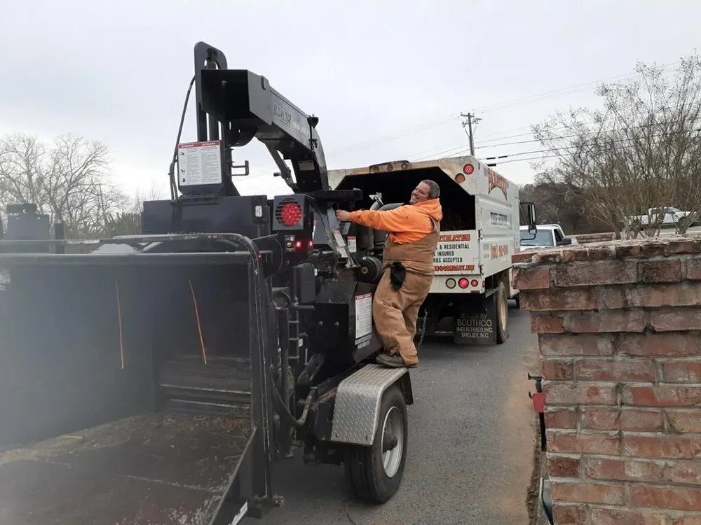 Expert residential landscaping in Strawberry Plains, TN - Paradise Tree Services