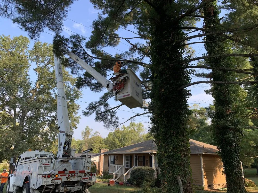 Local lawn mowing service experts serving Strawberry Plains, TN - Paradise Tree Services