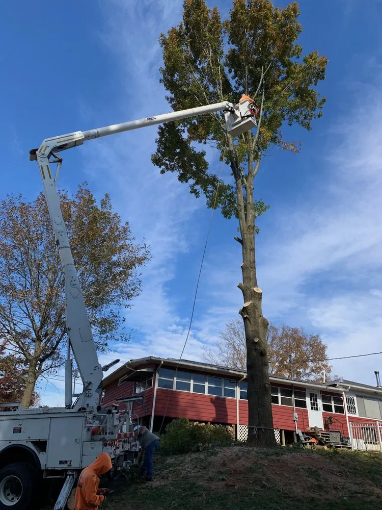 Professional garden landscaping in Strawberry Plains, TN by Paradise Tree Services