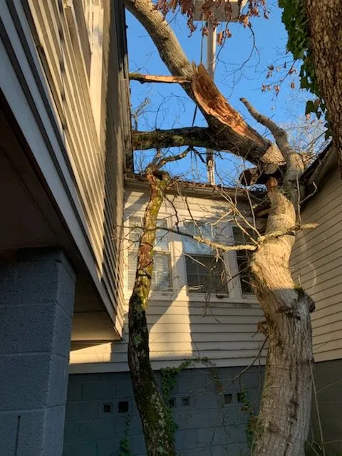 Reliable lawn care service with custom design across Strawberry Plains, TN - Paradise Tree Services