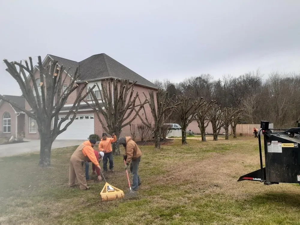 Local landscape design for outdoor upgrades in Strawberry Plains, TN by Paradise Tree Services