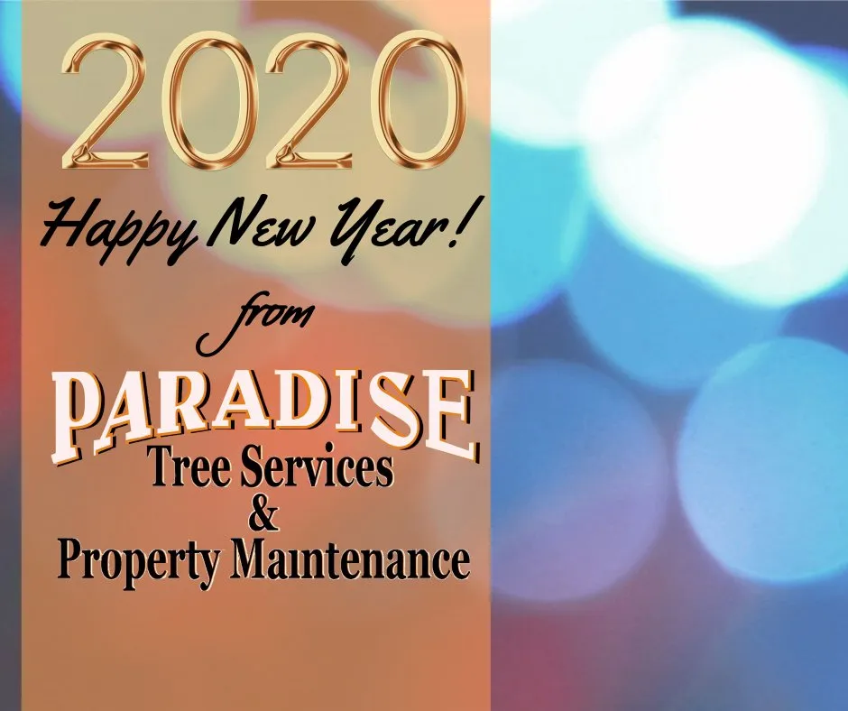 Reliable landscape design in Strawberry Plains, TN by Paradise Tree Services