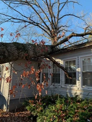 Expert lawn care service experts serving Strawberry Plains, TN - Paradise Tree Services