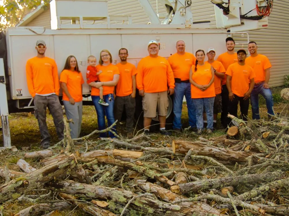 Top-rated lawn care service near you across Strawberry Plains, TN - Paradise Tree Services