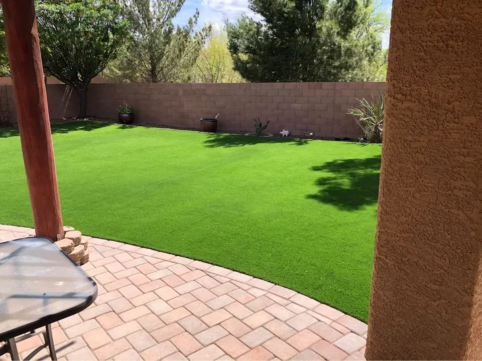 Expert landscape design for homes in Paradise Valley, AZ by Paradise Turf and Landscape
