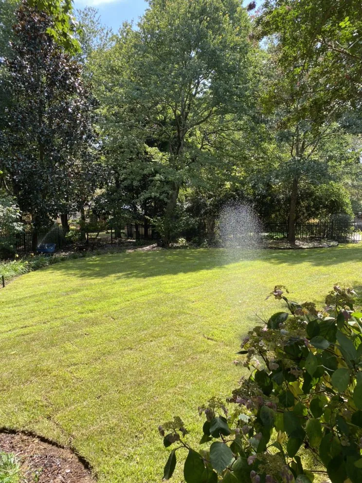 Top-rated landscaping services in Abbeville, SC - Paradise Valley Land Solutions