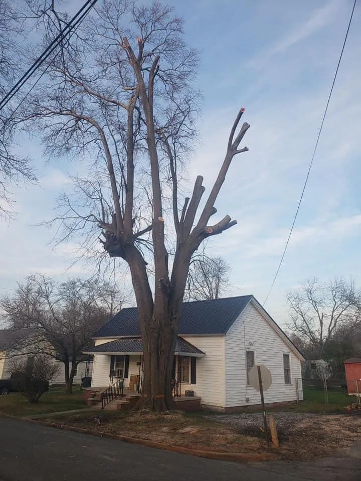 Professional garden landscaping for beautiful yards across Abbeville, SC - Paradise Valley Land Solutions