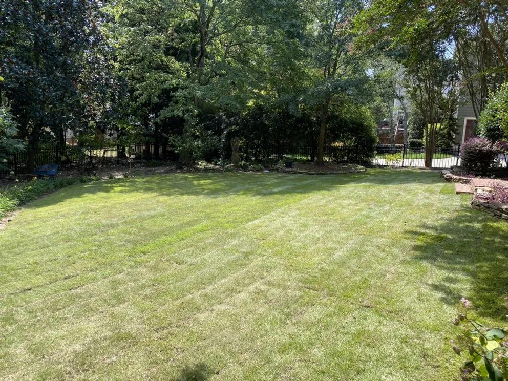 Trusted landscaping services in Abbeville, SC by Paradise Valley Land Solutions