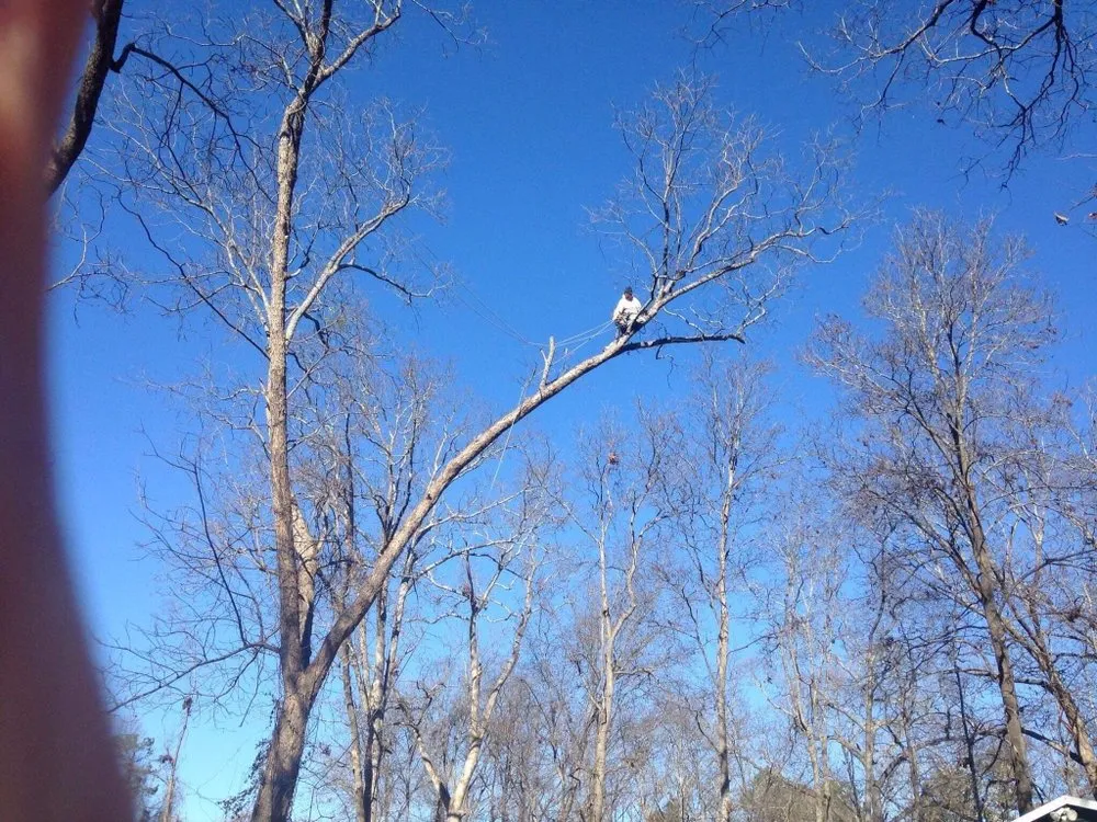 Professional yard cleanup service for outdoor upgrades in Abbeville, SC by Paradise Valley Land Solutions