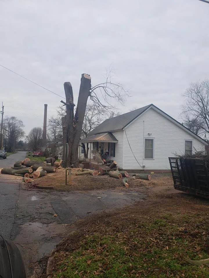 Top-rated yard cleanup service in Abbeville, SC by Paradise Valley Land Solutions