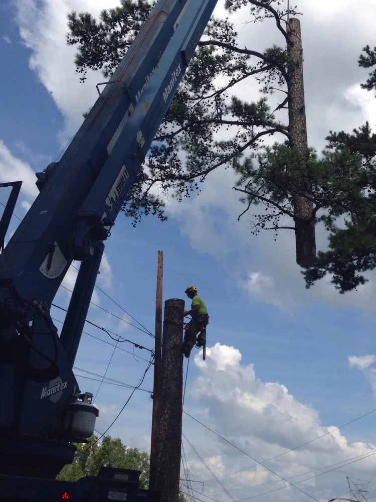 Top-rated landscape installation for residential properties across Abbeville, SC - Paradise Valley Land Solutions