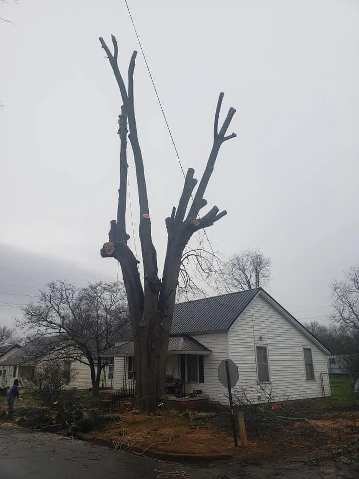 Affordable lawn care service in Abbeville, SC - Paradise Valley Land Solutions