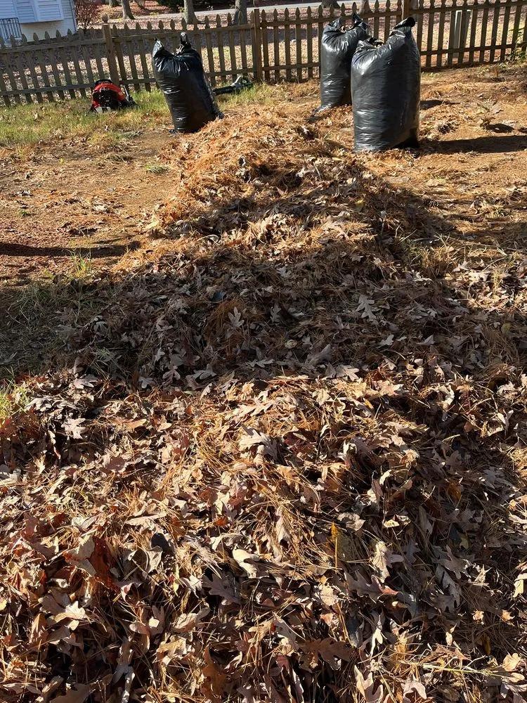 Local landscape installation for homes in Fredericksburg, VA by Paradise View