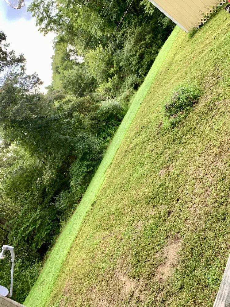 Top-rated yard maintenance for homes across Fredericksburg, VA - Paradise View