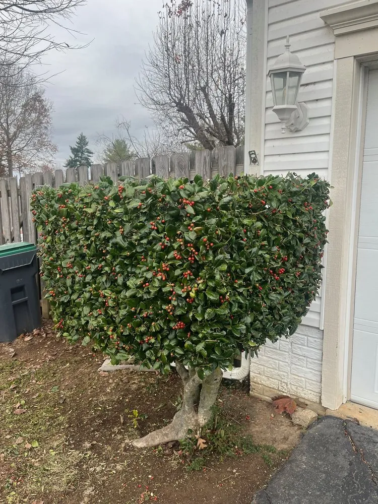 Custom landscape design experts serving Fredericksburg, VA - Paradise View