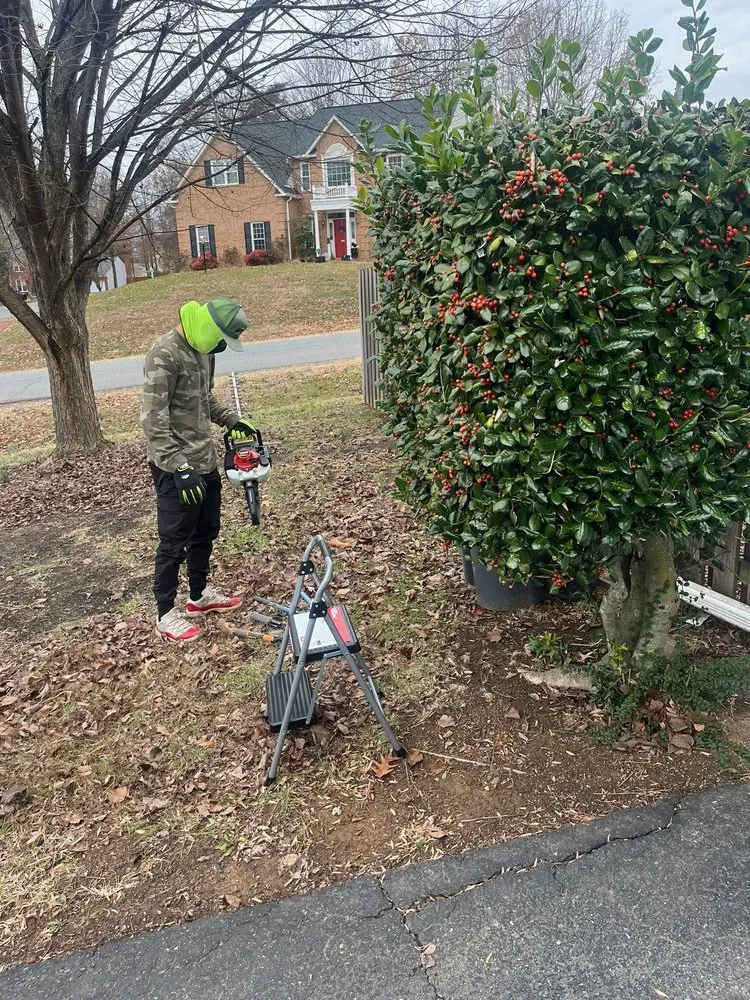 Local landscape design experts serving Fredericksburg, VA - Paradise View