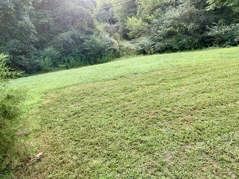 Affordable lawn care service in Fredericksburg, VA - Paradise View
