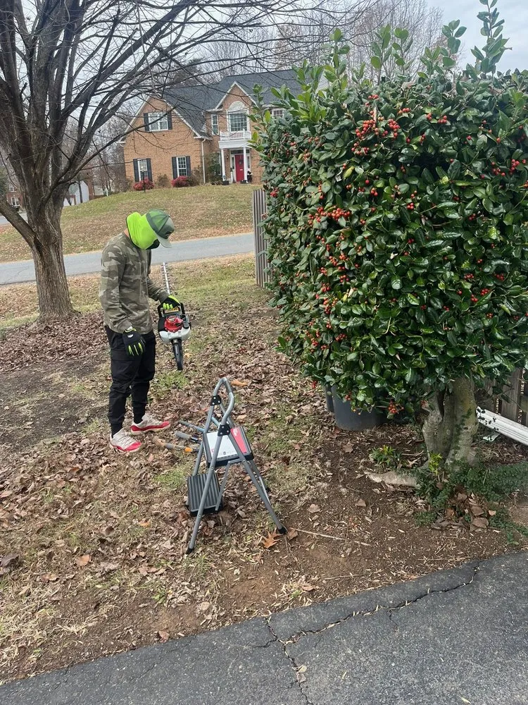 Reliable landscape design in Fredericksburg, VA - Paradise View