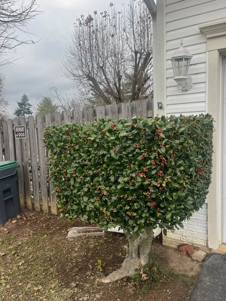 Reliable landscape installation for beautiful yards in Fredericksburg, VA by Paradise View