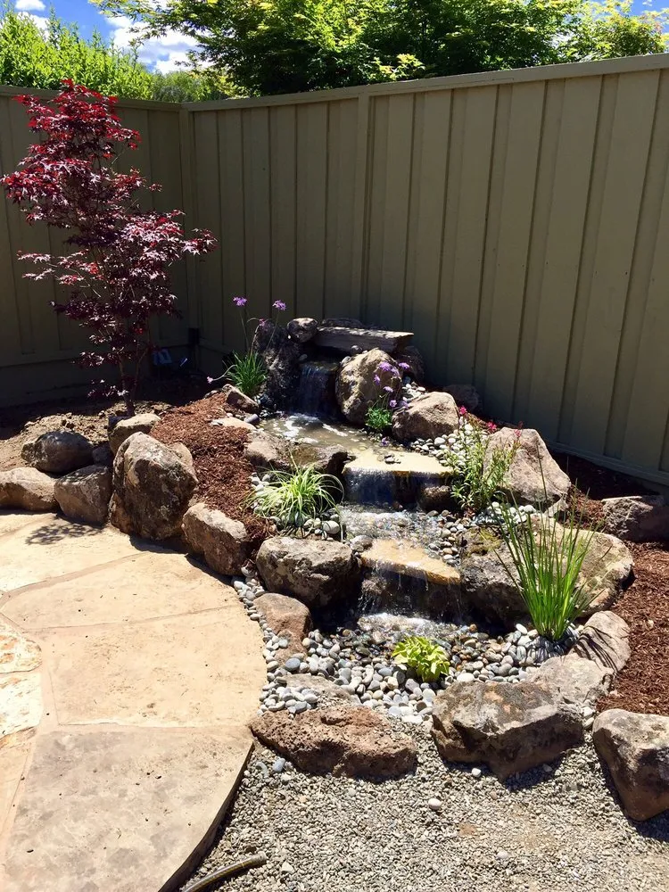 Reliable lawn mowing service experts serving San Jose, CA - Paradise Water Gardens