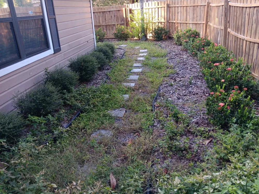 Reliable lawn care service near you in Saint Pete Beach, FL by Paradise Yard Care