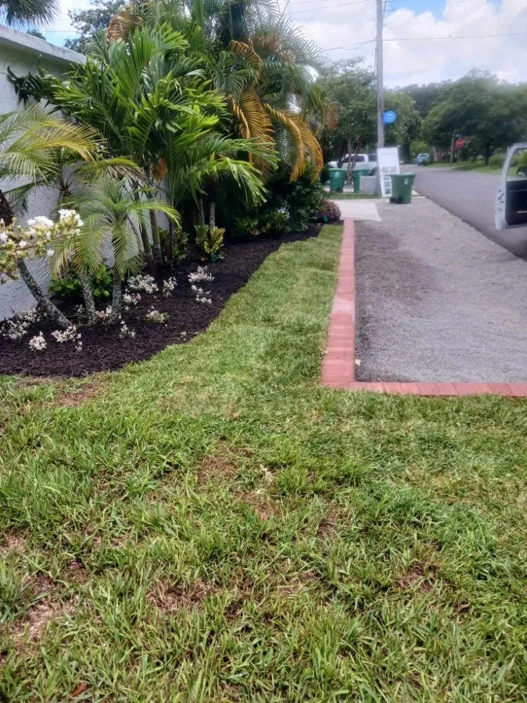 Local outdoor landscaping for homes in Brandon, FL by Paradise Yards & Design