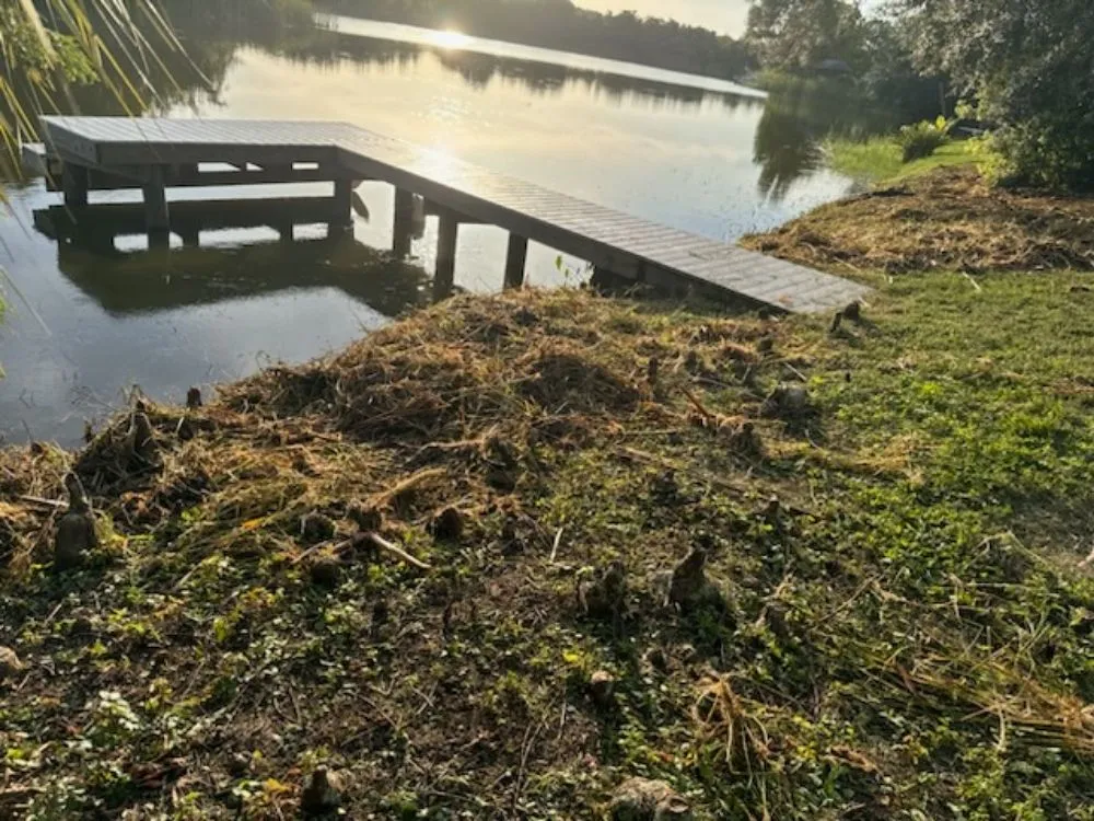 Trusted garden landscaping in Brandon, FL by Paradise Yards & Design