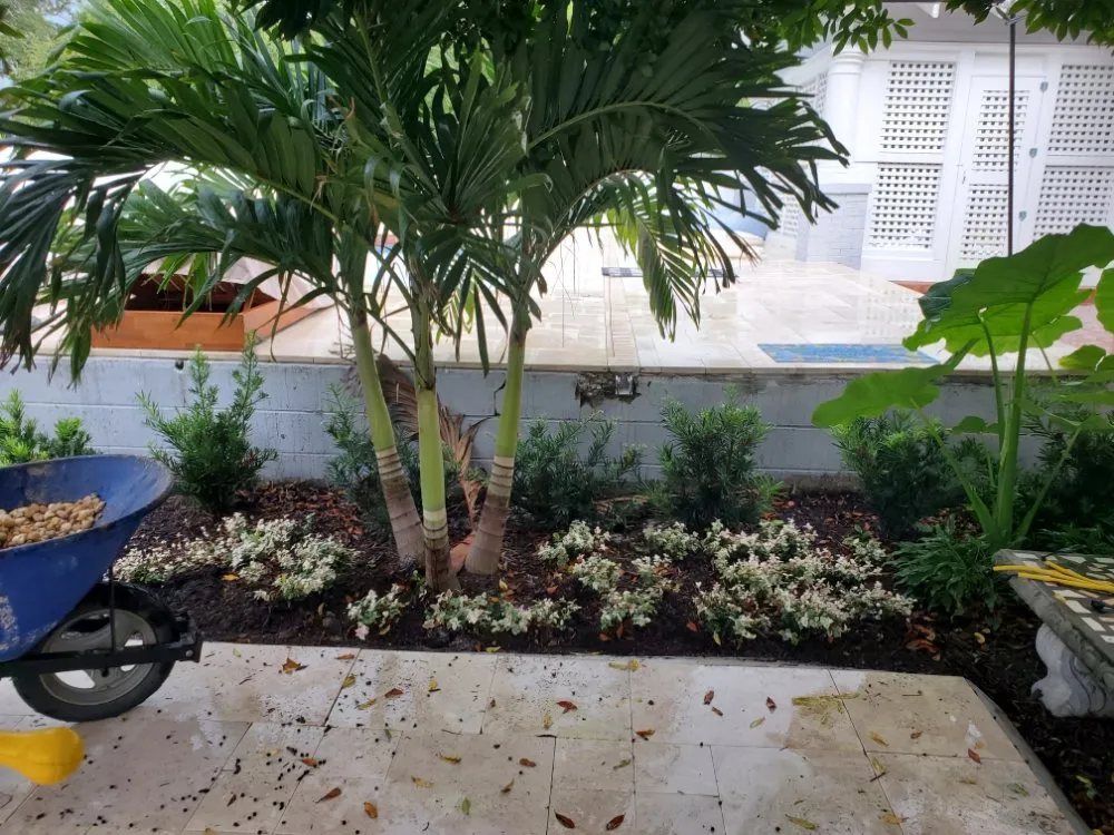 Local landscaping services in Brandon, FL - Paradise Yards & Design