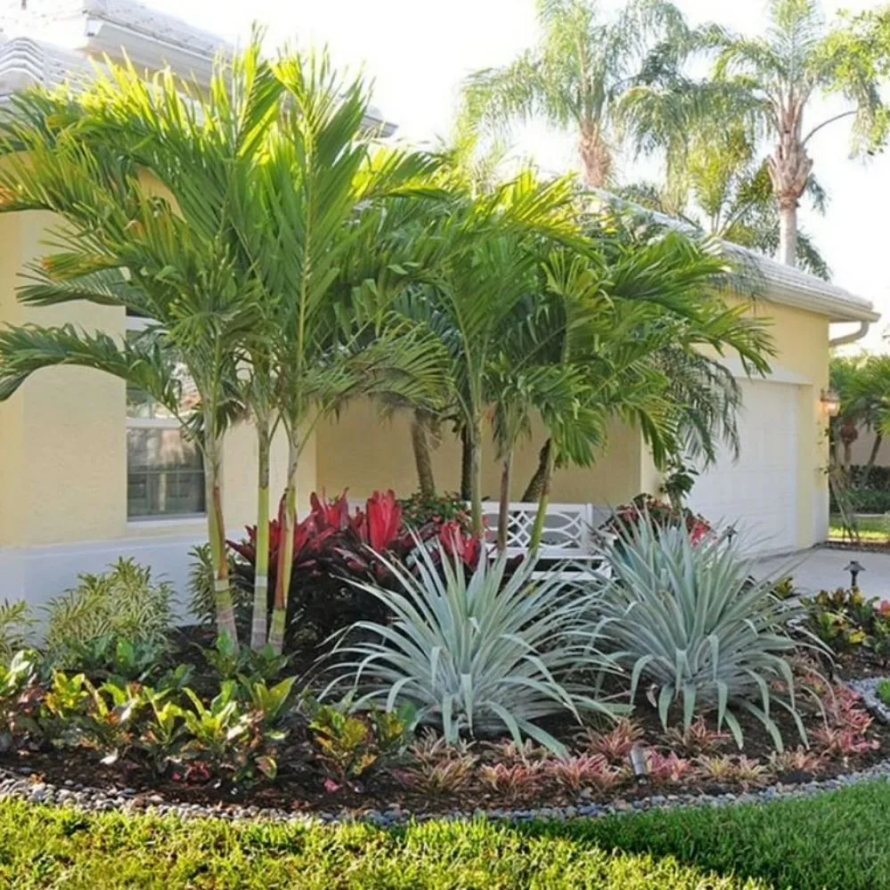 Expert landscape installation in Fort Lauderdale, FL by Paradises Lawn Care
