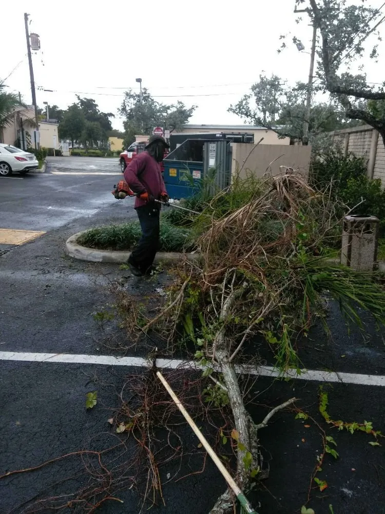 Trusted outdoor landscaping experts serving Fort Lauderdale, FL - Paradises Lawn Care