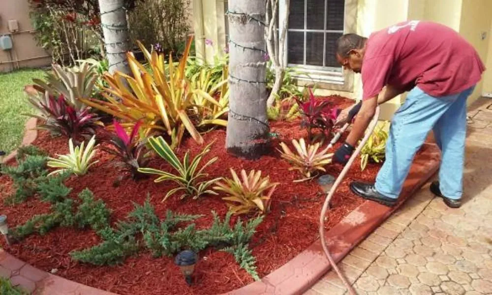 Local garden landscaping in Fort Lauderdale, FL - Paradises Lawn Care
