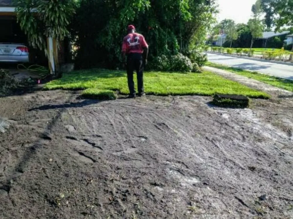 Professional residential landscaping experts serving Fort Lauderdale, FL - Paradises Lawn Care