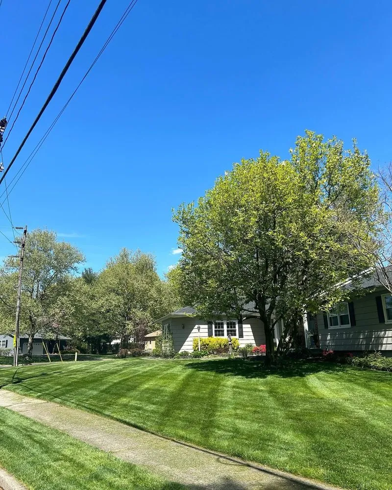Expert yard cleanup service in Fallsington, PA by Paragano Landscaping