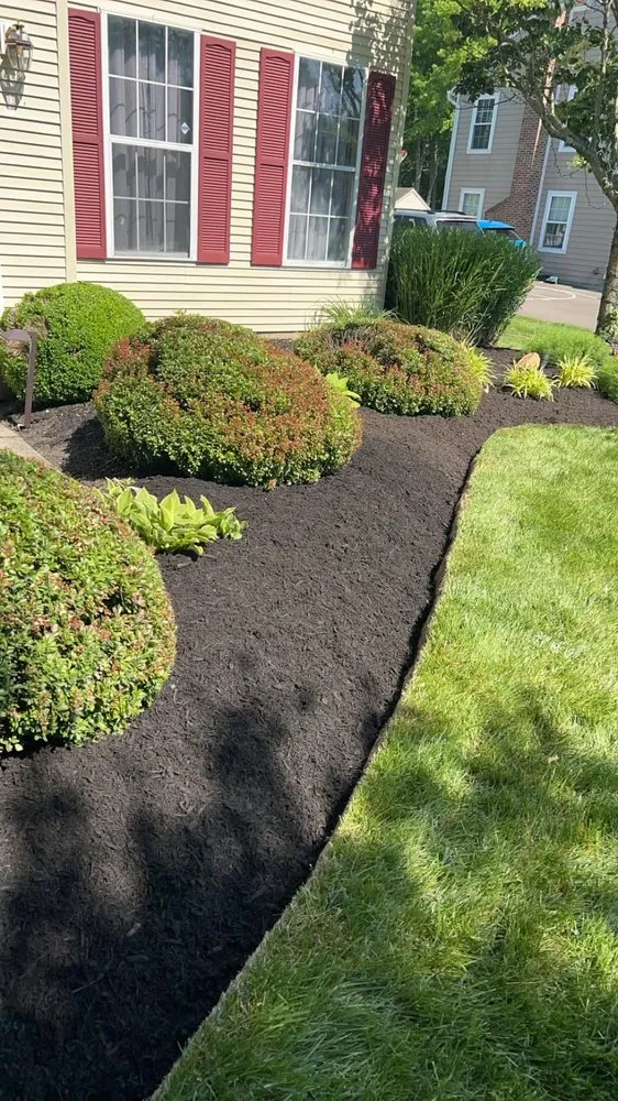 Expert yard cleanup service experts serving Fallsington, PA - Paragano Landscaping
