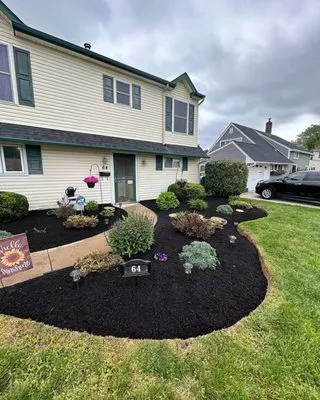 Paragano Landscaping